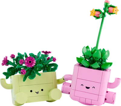 Plantas de Balançar