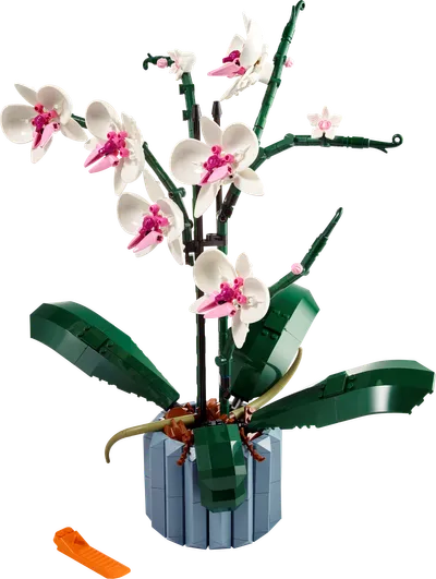 Orquídeas