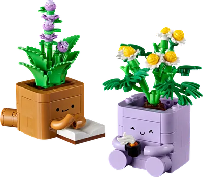 Cozy Plants