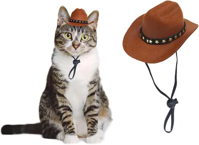 Cat Cowboy Hat Dog Cowboy Hat Pet Cowboy Halloween Party Costume Mini Cowboy Hat
