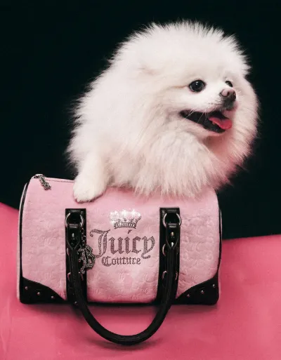 Фактурна сумка JUICY COUTURE X BERSHKA