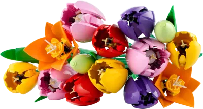 Buquê de Tulipas