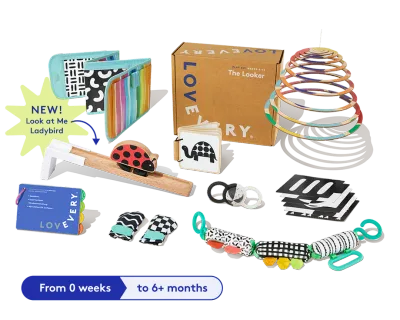 The Looker Play Kit